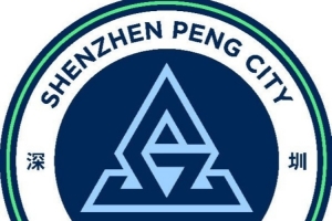 新鹏城官方宣布:夏合扎提租借转会至陕西联合,胡家进租借转会至定南赣联