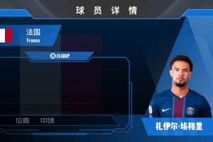 巴黎主力埃梅里集锦：年少成名却不失稳重 现代B2B标杆！