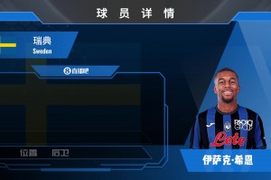瑞典中卫希恩集锦：人高马大的壮实型中卫 速度较慢犯规偏多
